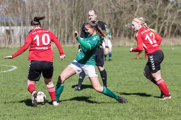Bild 208 - F SG NieBar - IF Stjernen Flensborg : Ergebnis: 4:1